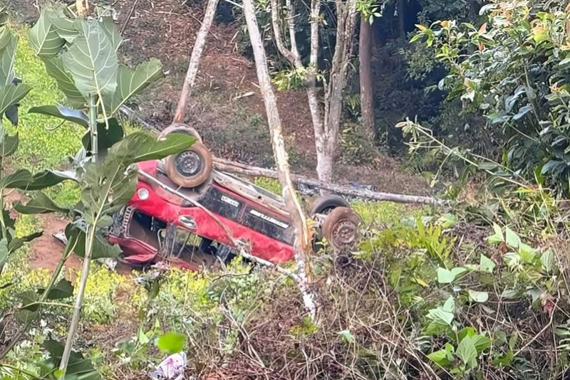 भोजपुरमा भ्रमण जाने क्रममा स्कर्पिओ दुर्घटना