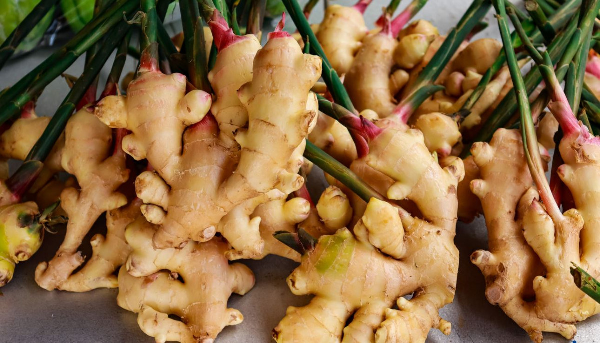 कर्णालीको अदुवा विदेशी बजारमा