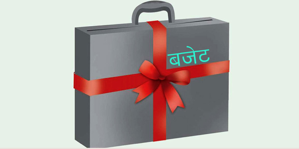 ताप्लेजुङका पाँच स्थानीय तहद्वारा बजेट सार्वजनिक