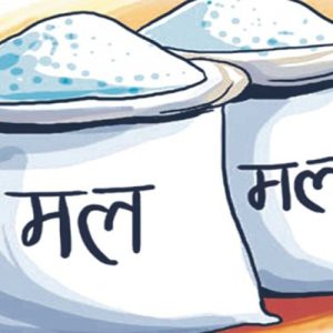 कञ्चनपुरमा कोटामार्फत रासायनिक मल वितरण