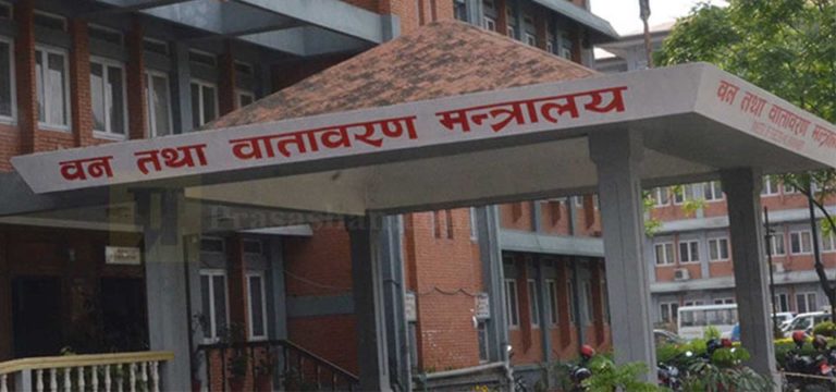 आगामी आवको बजेटमा यस्ता छन् वन मन्त्रालयका नयाँ कार्यक्रम