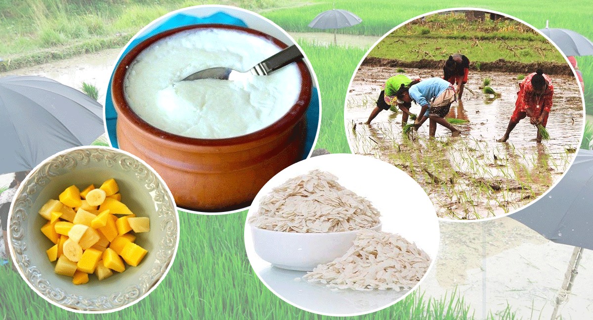 असार १५ः धान दिवस र दही चिउराको सांस्कृतिक पर्व मनाइँदै