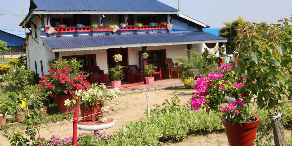 फूलैफूलले सजिएको माडीको अयोध्यामार्ग