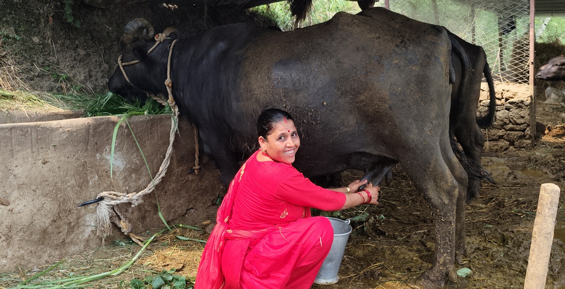 ‘दूधमा प्रोत्साहन अनुदान’ कार्यक्रमबाट कर्णालीका किसान लाभान्वित