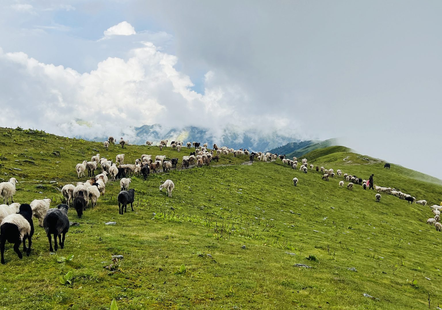 लेक उक्लिए गोठाला