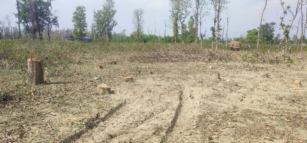 दोधारा चाँदनीमा सुक्खा बन्दरगाह निर्माण तीव्र