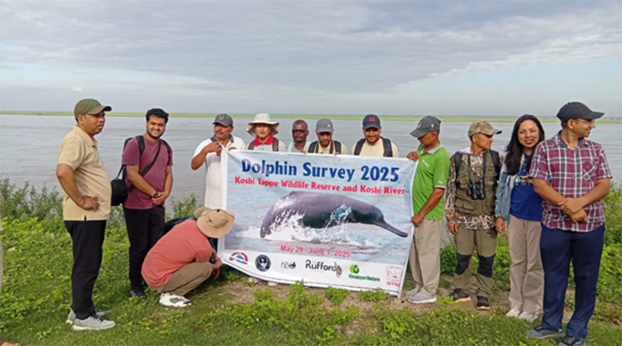 सप्तकोशीमा डल्फिन गणना