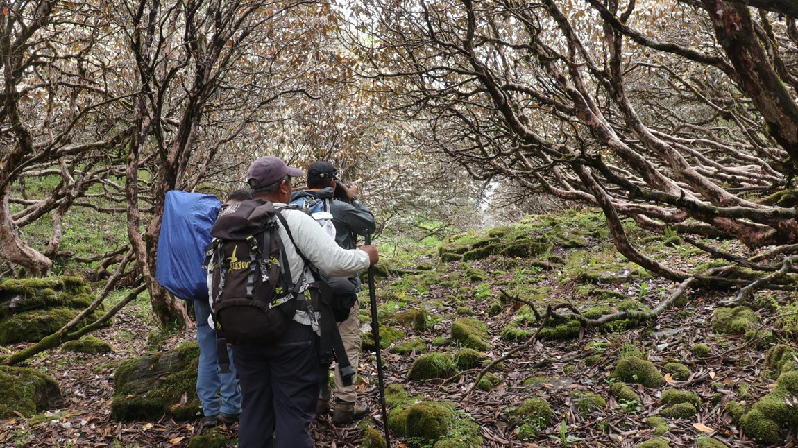सिङ्दी–दूधपोखरी हुँदै हर्पिङडाँडासम्म पदमार्गको खोजी गरिँदै