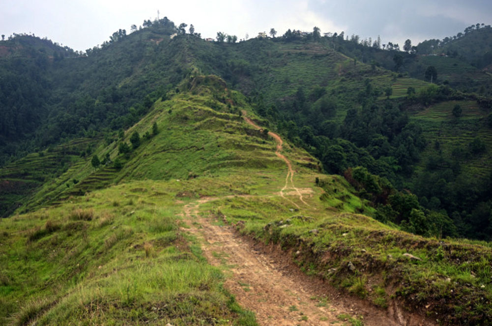 पतञ्जली जग्गा हिनामिना प्रकरणका ९३ जनाको सूची