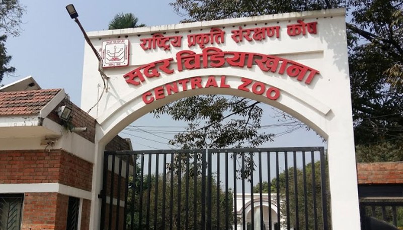 चिडियाखानामा सन्ध्याकालीन सेवा सुरु भएपछि बढे पर्यटक