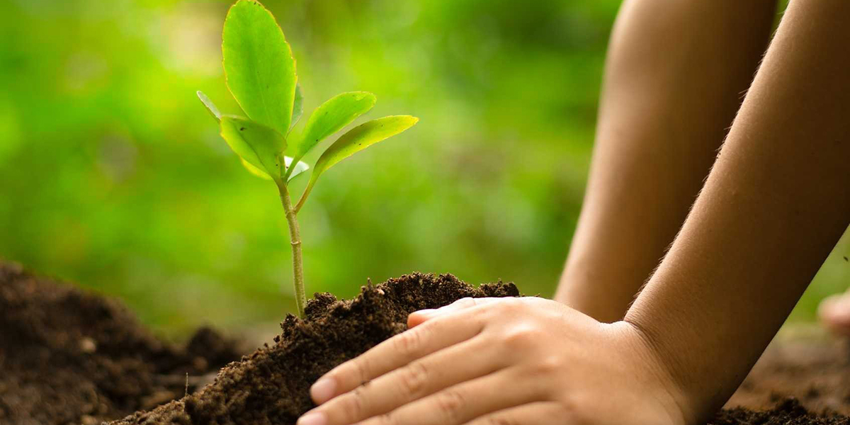 आज विश्व वातावरण दिवस विविध कार्यक्रमका साथ मनाइँदै