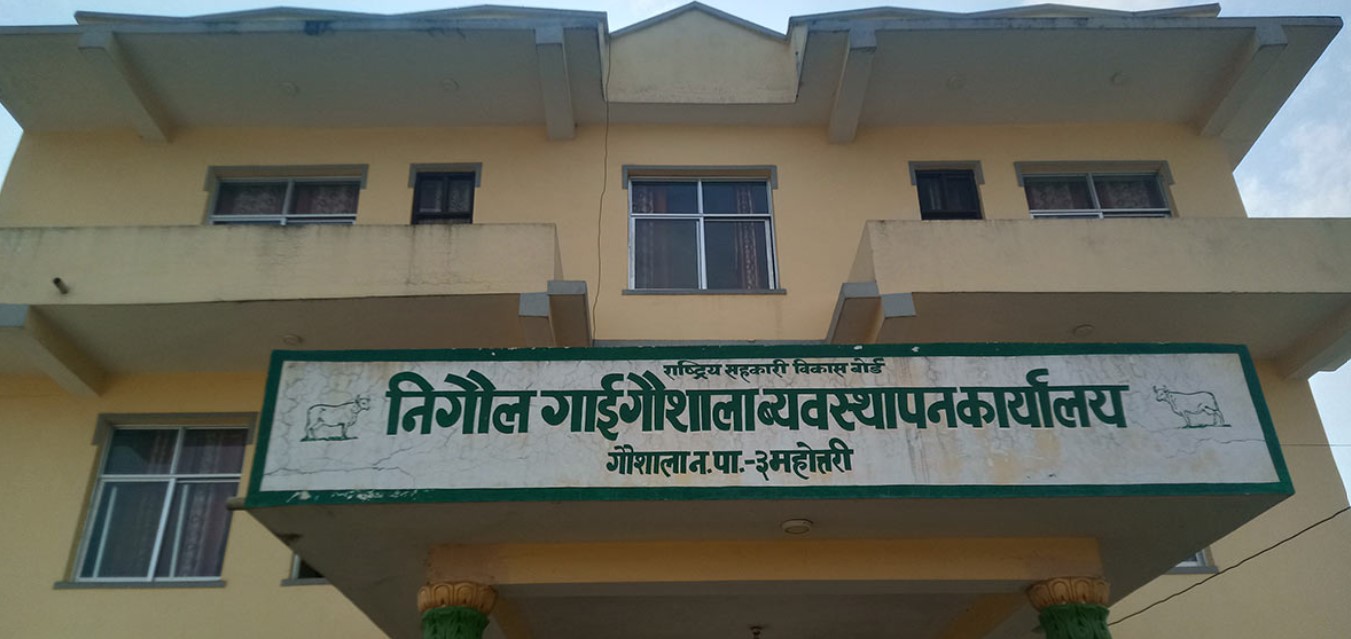 दरभङ्गा महाराजको नासो लथालिङ्ग बन्दै