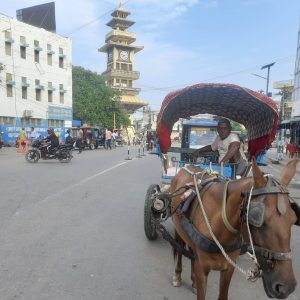 वीरगञ्जको घण्टाघरको ट्राफिक व्यवस्थापन अस्तव्यस्त !