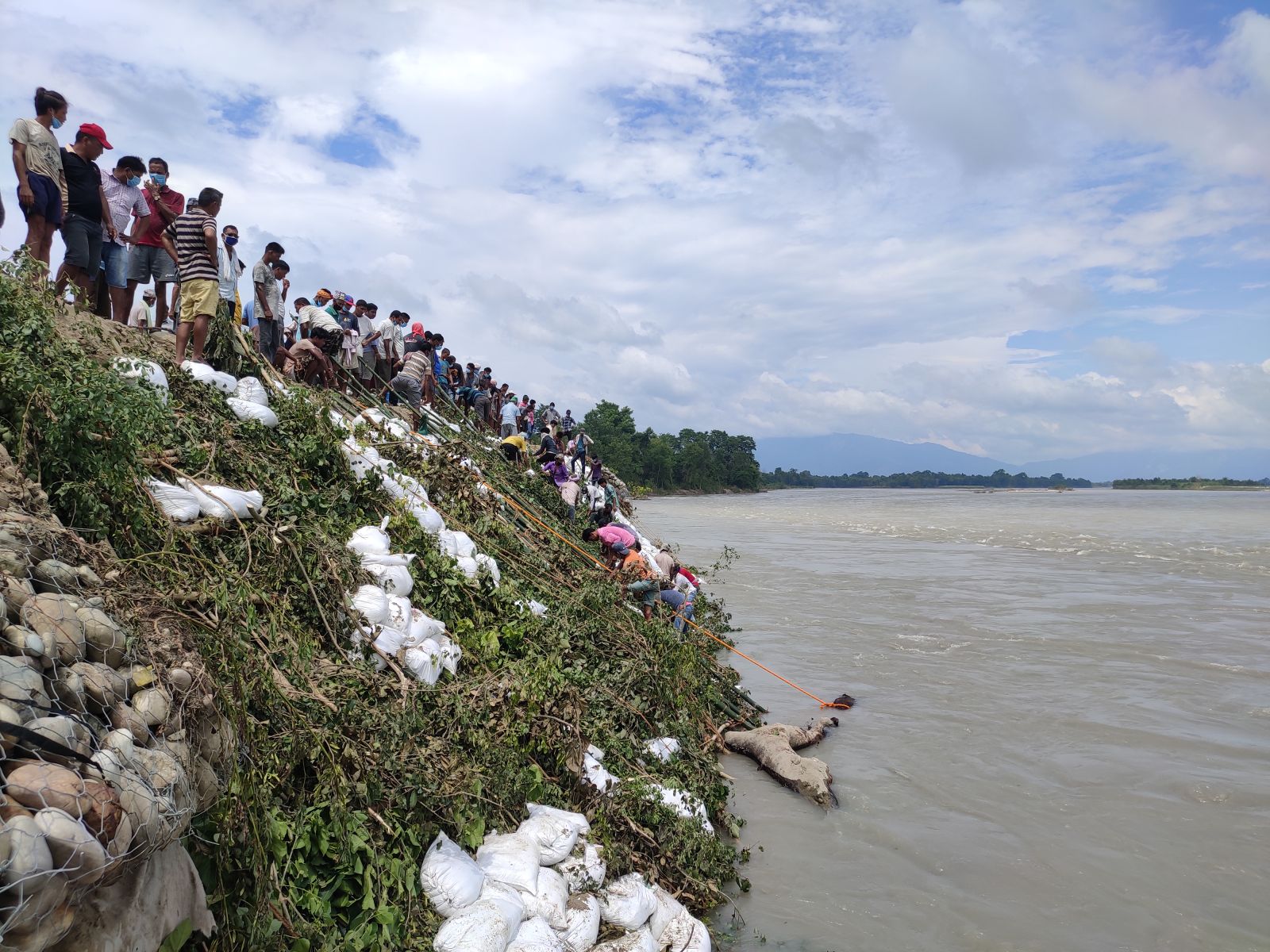 जनश्रमदानमार्फत जैविक तटबन्ध गर्दै स्थानीय