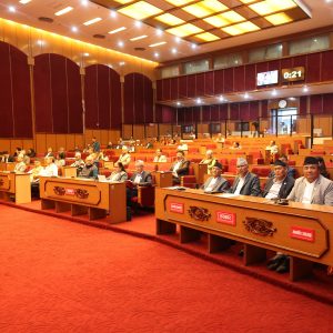 एलडीसी ग्र्याजुएसन सम्बन्धी अध्ययन प्रतिवेदन राष्ट्रिय सभामा प्रस्तुत