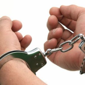 इजरायल र जापान रोजगारीको प्रलोभन देखाई ठगी गर्ने दुई जना पक्राउ