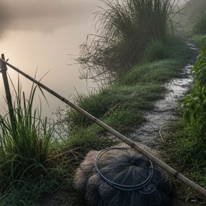 करेन्ट लगाएर माछा मार्ने प्रयास गर्दा युवकको ज्यान गयो