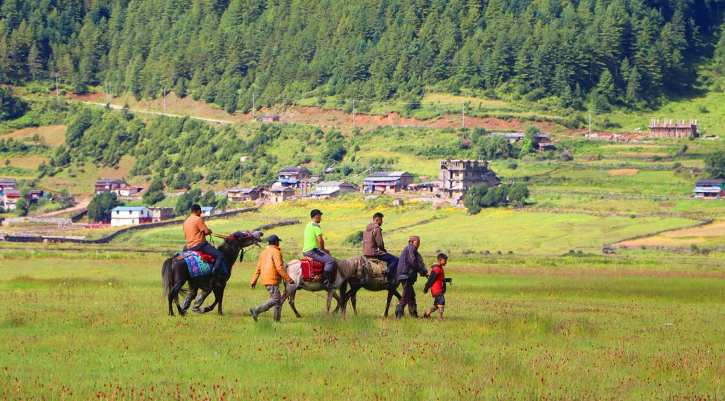 ढोरपाटनमा पर्यटक बढेपछि घोडा व्यवसाय फस्टाउँदै