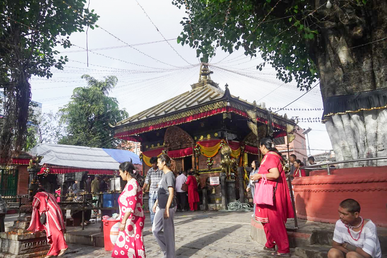 नवरात्रको दोस्रो दिन ब्रह्मचारिणी देवीको पूजा आराधना गरिँदै