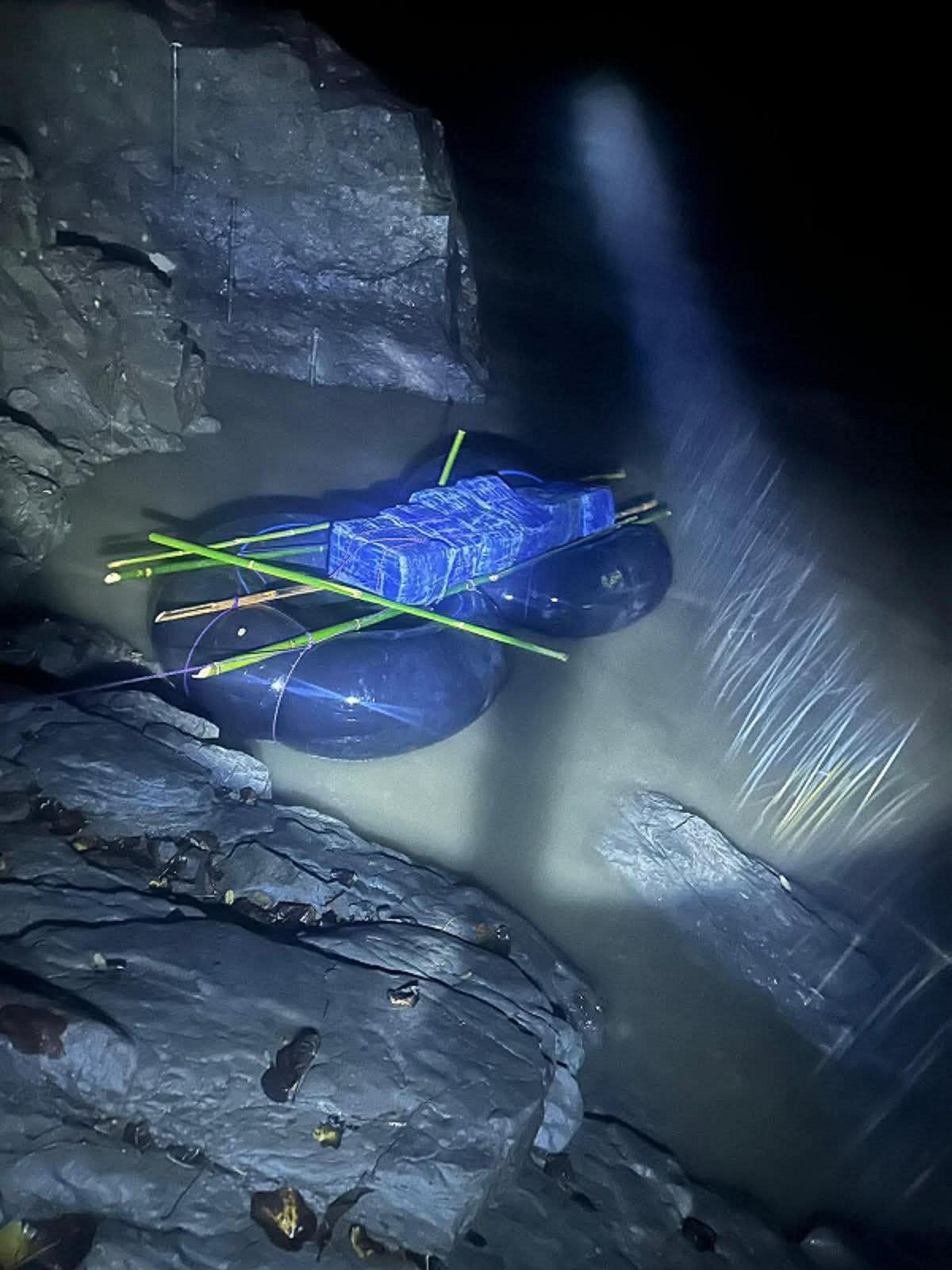 कोशी प्रदेशका चार जिल्लामा लागू औषध विरुद्ध प्रहरीको कडाई, सात जना पक्राउ