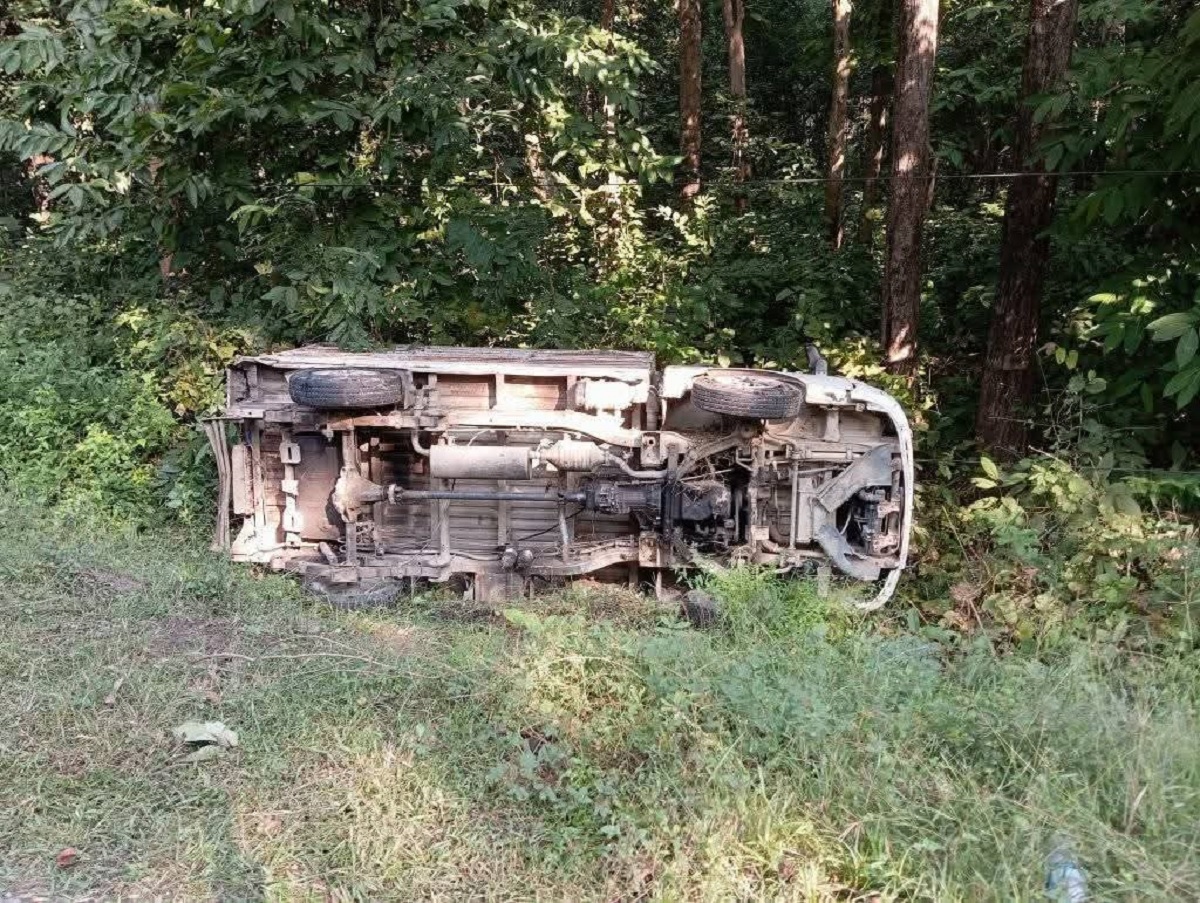 बारामा जङ्गली हात्तीको आक्रमण : ट्रक चालकको मृत्यु, राजमार्ग केही समय अवरुद्ध