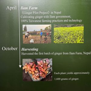 दुबईको एक्सपोमा इलामको अदुवा र अलैँचीले विश्वको ध्यान खिच्यो