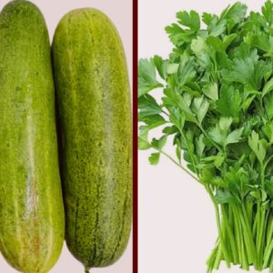 कालीमाटी परीक्षणमा धनियाँ–काक्रोमा उच्च विषादी भेटियो