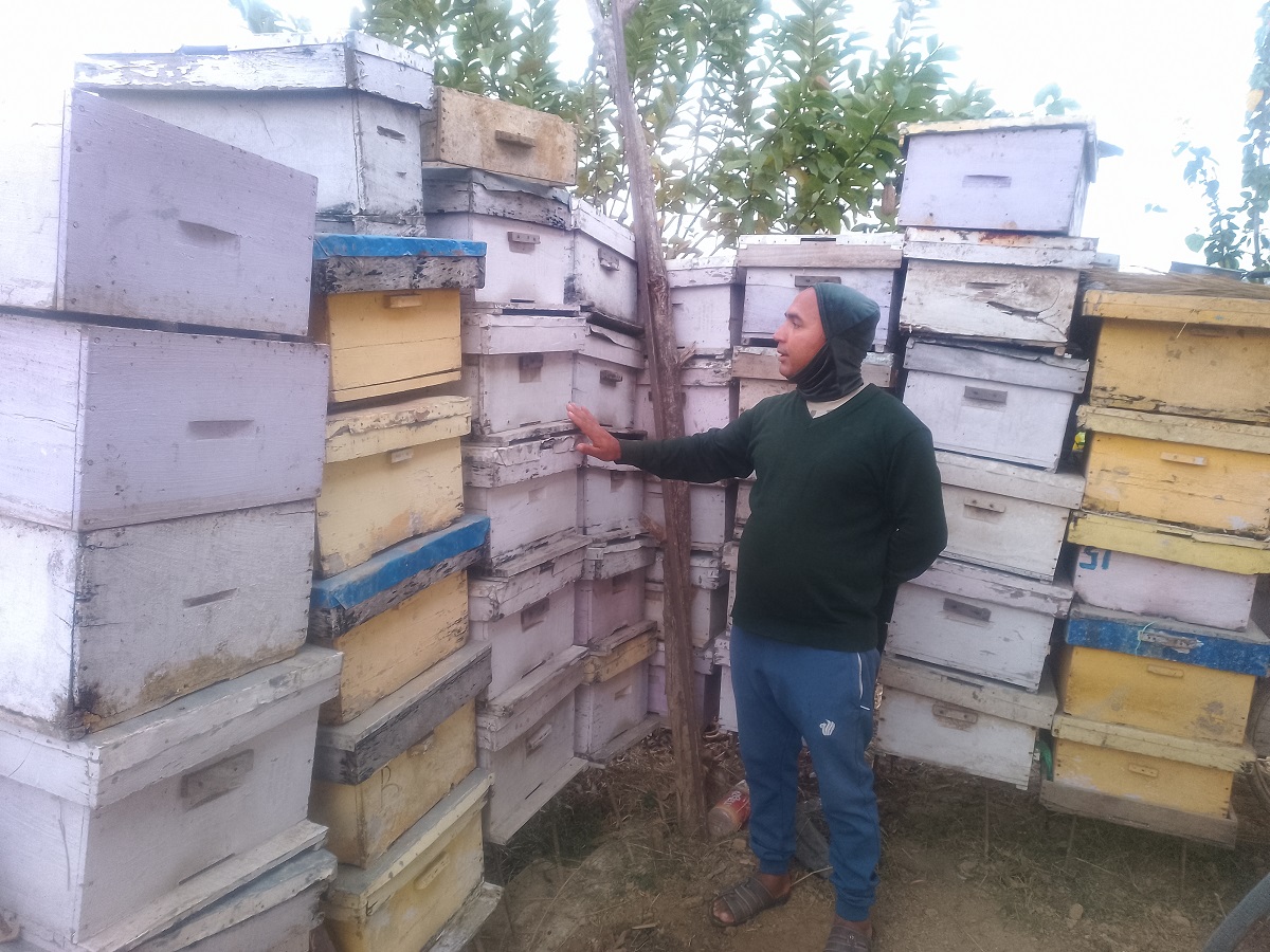 अवकाशपछिको जाँगरः मौरीपालनबाट मनग्य आम्दानी गर्दै घनश्याम